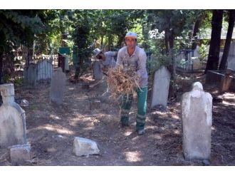 Adıyaman Belediyesinden Temizlik Seferberliği