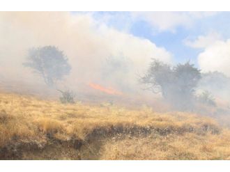 Yozgat Nohutlu Tepesi Yine Yandı