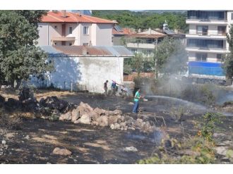 Ayvacık’ta Korkutan Yangın