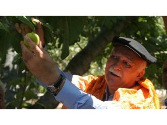 Tzob Genel Başkanı Bayraktar, İncirciyi Umutlandırdı