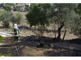 Seydikemer’de Alevler Yerleşim Alanına Dayandı