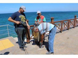 Akçakoca’da Temiz Çevre Temiz Akçakoca Çalışmaları Sürüyor