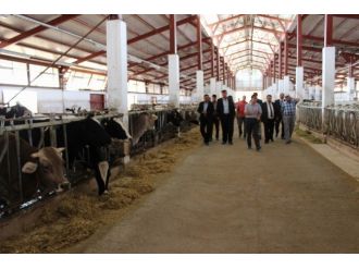 Ziraat Odası Koordinasyon Toplantısı Yıldızeli’nde Yapıldı