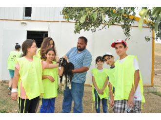 Yeni Dönemde Eğlenceli Atölyeler Çocukları Bekliyor