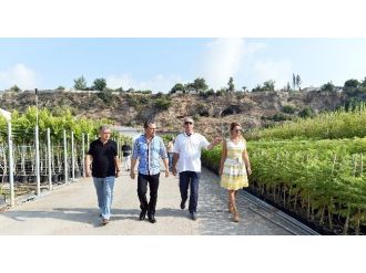 Muratpaşa Belediyesi Bitki Üretim Tesislerini 5 Kat Büyütüyor