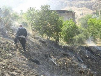 Elektrik Telleri Tehlike Yaratıyor