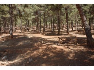 Mesire Alanı Bakım Bekliyor