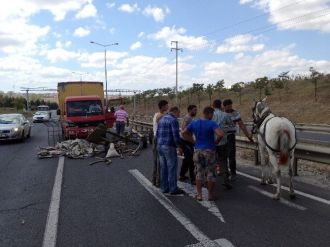 Kendi Canından Çok Atına Üzüldü