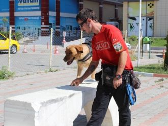Akut’un Gözbebeği Yeterlilik Sınavını Bekliyor