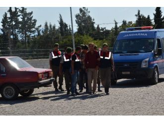 Balıkesir’de Büyükbaş Hayvan Hırsızları Yakalandı