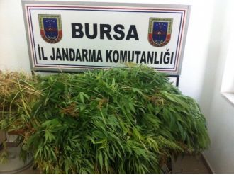 Bursa’da Uyuşturucu Operasyonu