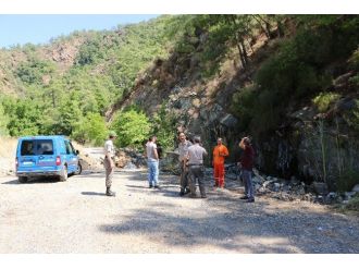 Ormanda Ateş Yakan Şahıs Gözaltına Alındı