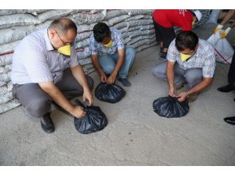 Denizli’de Kömür Denetimleri Başladı