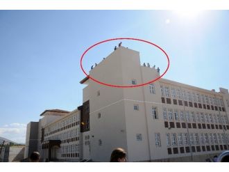 Paramızı Alamadık Deyip Çatıya Çıktılar