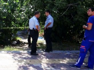 İncir Toplamak İsterken Canından Oldu