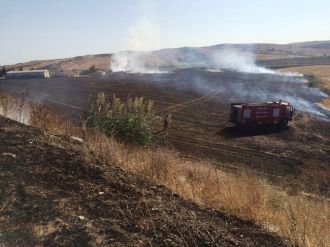 Anız Yangını Ayçiçeği Tarlalarını Tehdit Etti