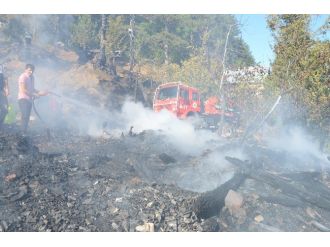 Keçilerini Kurtarmak İsterken Yanarak Öldü