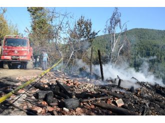 Keçilerini Kurtarmak İsterken Yanarak Öldü