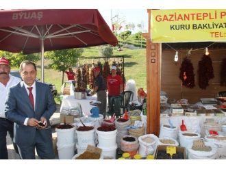 Gaziantep Kültür Ve Yiyecek Şenliği Başladı