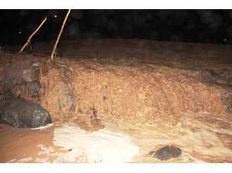 Iğdır’da Selde 3 Bini Aşkın Koyun Telef Oldu