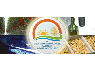 Aydın’da 10,8 Milyon Tl Yatırıma 5,3 Milyon Tl Hibe Desteği