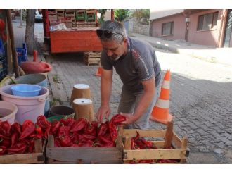 Salça Sezonu Açıldı