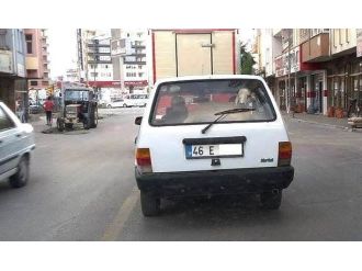 Kuzunun İlginç Yolculuğu