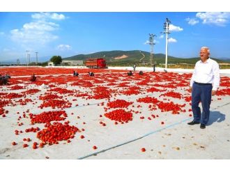 İşsiz Gençler Bu İlçeye Koşuyor