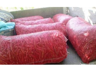 Barbunya Ve Fasulyenin Fiyatları Üreticinin Yüzünü Güldürdü