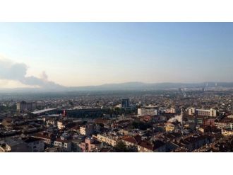 Bursa’da Orman Yangını (1)