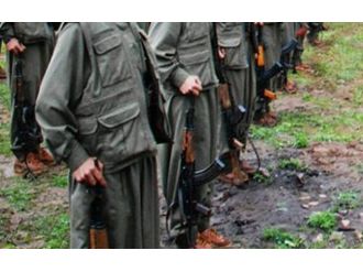 2 Pkk’lı Ölü Ele Geçirildi