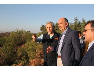 Bakan Müezzinoğlu: 40 Civarında Ev Boşaltıldı