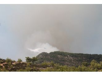 Anamur’da Orman Yangını