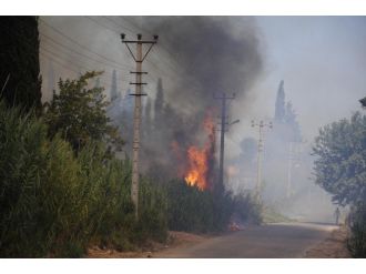 Antalya Tarım Arazisindeki Yangın Kontrol Altına Alındı