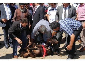 Köylüleri Altınok’un Başarısı İçin Dua Etti