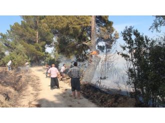 Mut’ta Orman Yangını