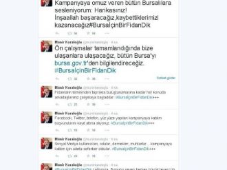 Yangından Zarar Gören 50 Hektarlık Alan Yeniden Ağaçlandırılacak