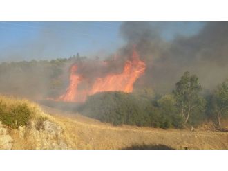 Aliağa’da Orman Yangını