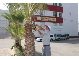 Döşemealtı Belediyesi, Okullarda Bahçe Düzenlemesi Yaptı