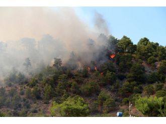 Tamamen Söndürüldü !