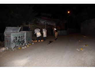 Yeğen Cinnetinde Ölü Sayısı 4 Oldu !