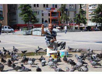 Yuvasız Kuşların Nazım Babası