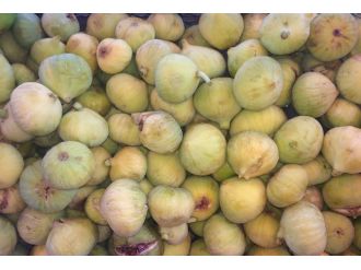 Yeşil Gurs İncirleri Tezgahtaki Yerini Aldı