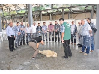 Kurban Kesim Elemanı Kursuna Başvurular Başlıyor