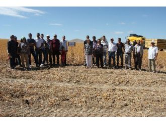 Elazığ’da Aspir Demonstrasyonunun Hasadı Yapıldı