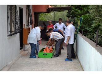 Genç Kadın Kocasını Bıçaklayarak Öldürdü