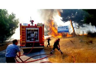 Söke’de Orman Yangını