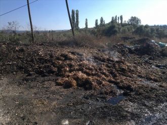 Hisarcık’ta Arazi Yangını