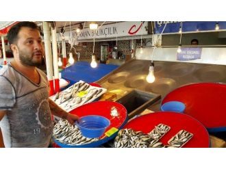 Balıkçılar Vira Bismillah Demek İçin Yarını Bekliyor