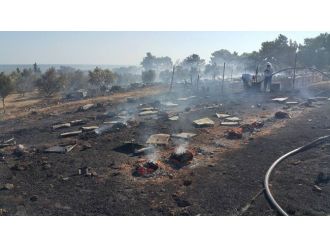 Doğanbey Yangınında Yüzerce Kovan Arı Ve Bal Teef Oldu